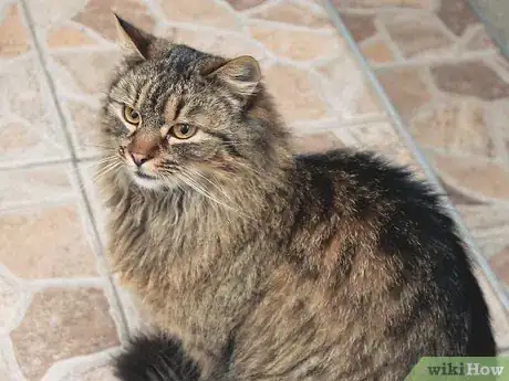 Image titled Purify the Air in Your House Step 18