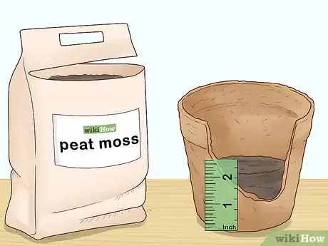 Image titled Plant Vinca Minor Step 2