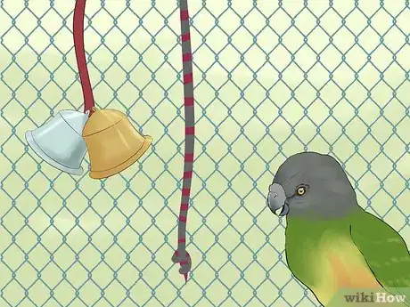 Image titled Care for a Senegal Parrot Step 14