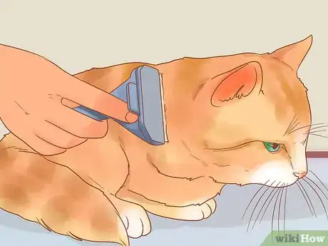 Image titled Become a Cat Person Step 6