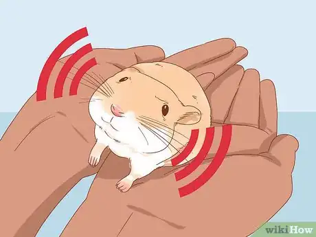 Image titled Diagnose Heart Failure in Gerbils Step 3