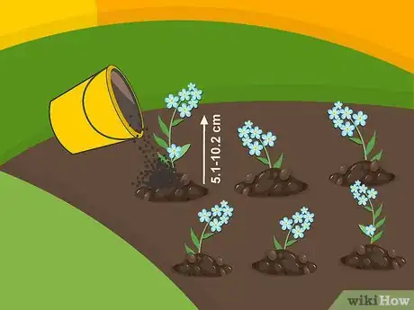 Image titled Plant Forget Me Not Seeds Step 12