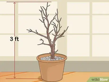 Image titled Make a Jesse Tree Step 3