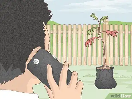 Image titled Plant Trees Near a Home without Damaging Your Foundation Step 8