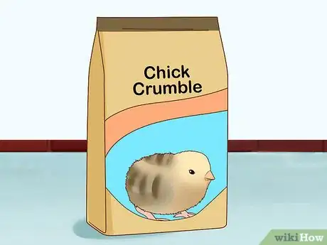 Image titled Buy Quail Chicks Step 15