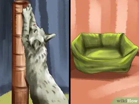 Image titled Responsibly Give a Cat As a Gift Step 4