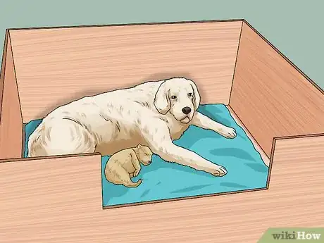 Image titled Whelp and Raise a Single Puppy Step 11