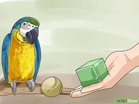 Image titled Recognize Stress in Your Pet Parrot Step 10