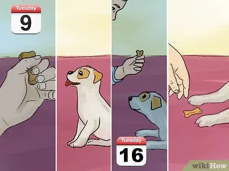 Image titled Teach a Small Dog to Lie Down on Command Step 5