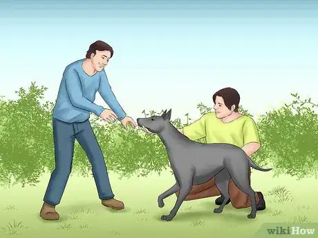 Image titled Train Teenager Stage Dogs Step 16