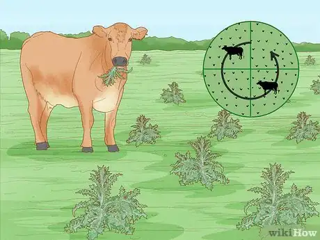 Image titled Get Rid of Thistles in Pastures Step 8