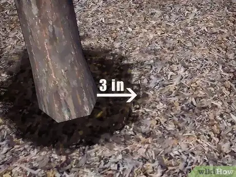 Image titled Grow Flowering Dogwood Step 16