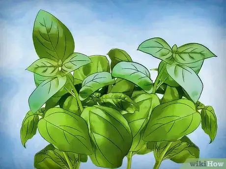 Image titled Plant a Culinary Herb Garden Step 11