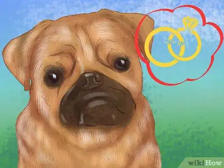 Image titled Decide Whether to Get a Second Dog Step 4