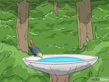 Image titled Feed Wildlife in the Autumn Step 2