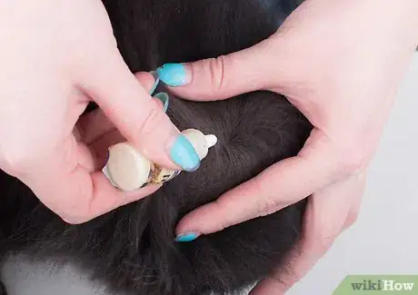 Image titled Protect Your Cat or Kitten from Parasites Step 5