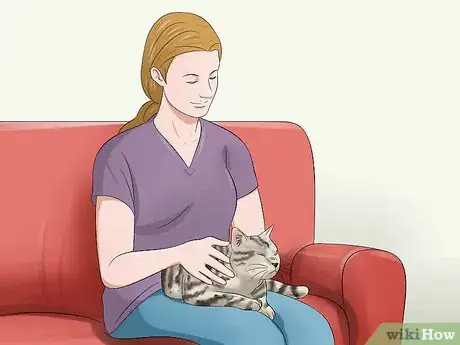 Image titled Care for Egyptian Maus Step 15