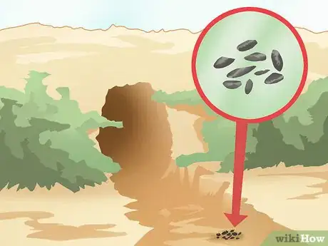 Image titled Trap a Rabbit Step 14