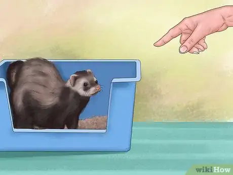 Image titled Litter Train Your Ferret Step 5