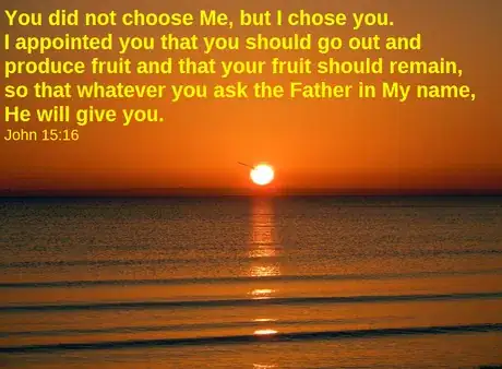 Image titled John 15v16.png