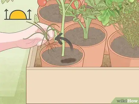 Image titled Garden During Coronavirus Step 17