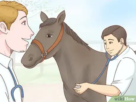 Image titled Become an Equine Veterinarian Step 9