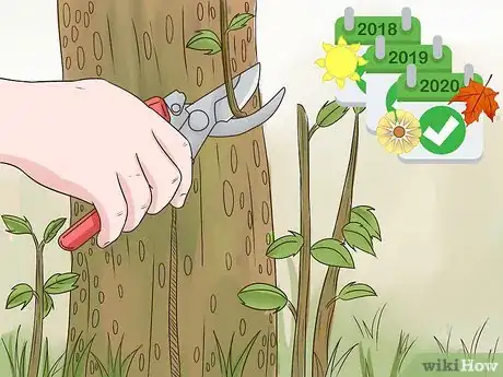 Image titled Prune Pomegranate Trees Step 7