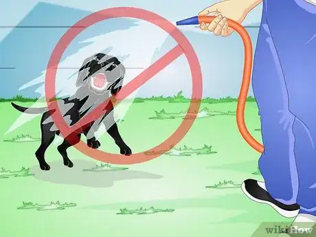 Image titled Firm Up Your Dog's Stool Step 12