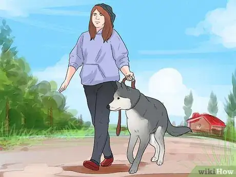 Image titled Prepare Your Dog to Go Off‐Leash Step 1