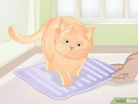 Image titled Find Alternatives to De Clawing Your Cat Step 2