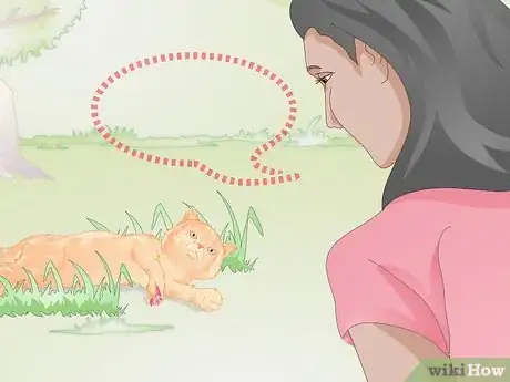 Image titled Approach a Sick or Injured Dog or Cat Step 5