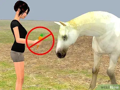 Image titled Easily Catch Your Horse Step 6