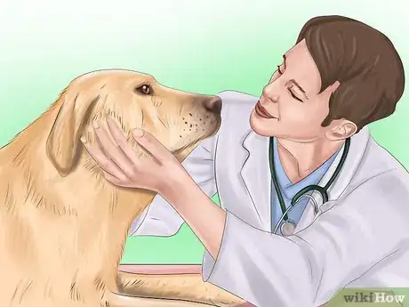 Image titled Keep Your Dog or Cat at Its Correct Weight Step 15