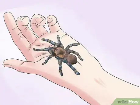 Image titled Treat PTSD Step 7