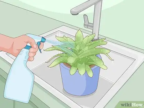 Image titled Create Humidity for Indoor Plants Step 3