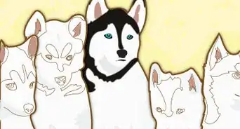 Name a Husky