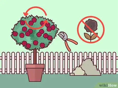 Image titled Prune Tree Roses Step 10