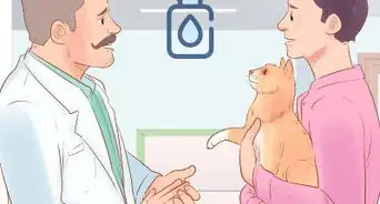 Give Selamectin to Cats with Parasites