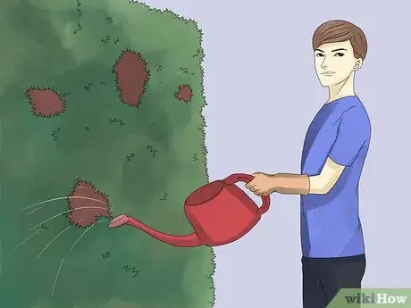 Image titled Remove an Ivy Plant Step 13