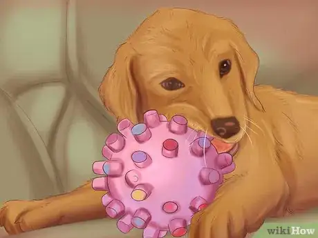 Image titled Make Sure That Your Dog Is Ok After Giving Birth Step 12