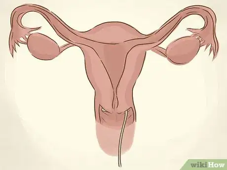 Image titled Dilate Faster Step 7