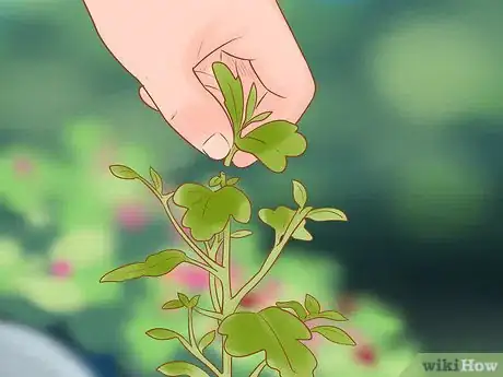 Image titled Prune Flowers Step 4