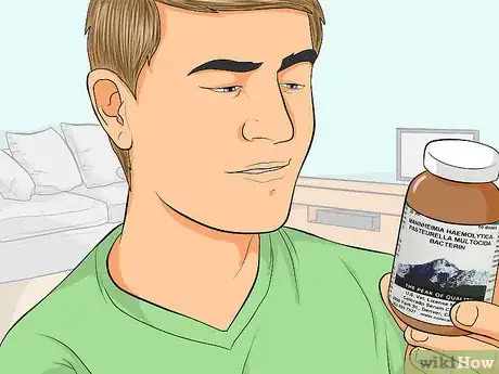 Image titled Vaccinate a Sheep Step 1