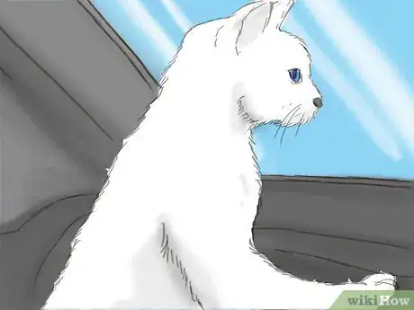 Image titled Travel with Pets by Car Step 8