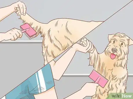 Image titled Groom a Wheaten Terrier Step 9