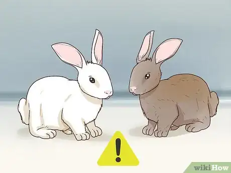 Image titled Keep Pet Rabbits Safe Step 10