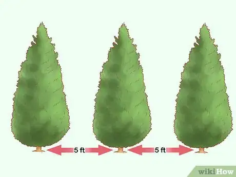 Image titled Plant Leyland Cypress Step 6