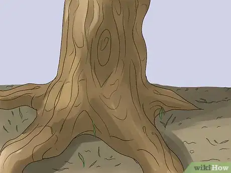Image titled Remove an Ivy Plant Step 10