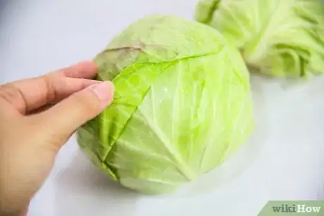 Image titled Select and Store Cabbage Step 3