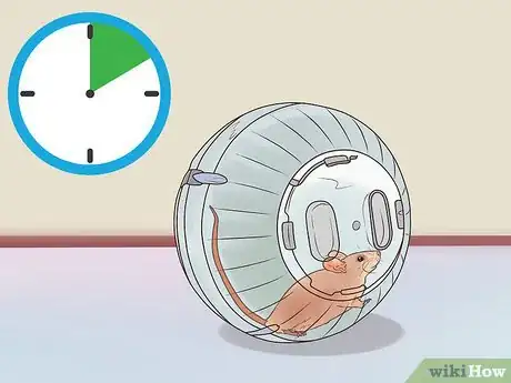Image titled Exercise Pet Mice Step 7